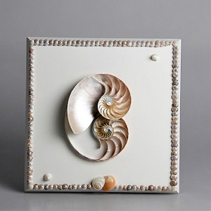 QUADRO 13