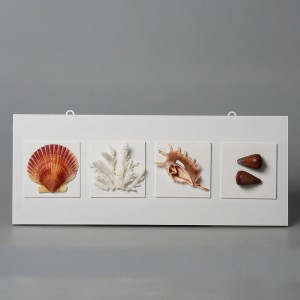 QUADRO 15
