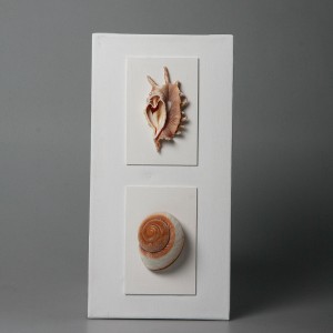 QUADRO 16