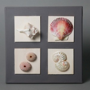 QUADRO 20