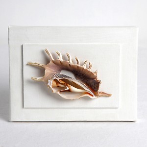 QUADRO 8